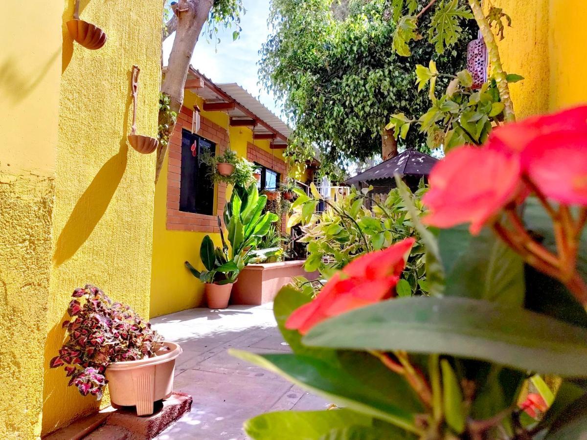 Casa Caracoles Lejlighed La Paz Eksteriør billede