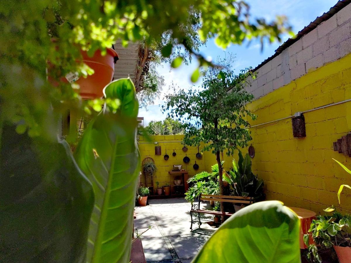 Casa Caracoles Lejlighed La Paz Eksteriør billede