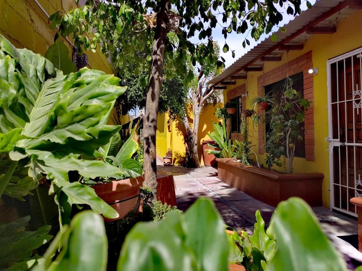 Casa Caracoles Lejlighed La Paz Eksteriør billede